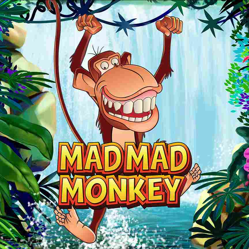 Mad Mad Monkey