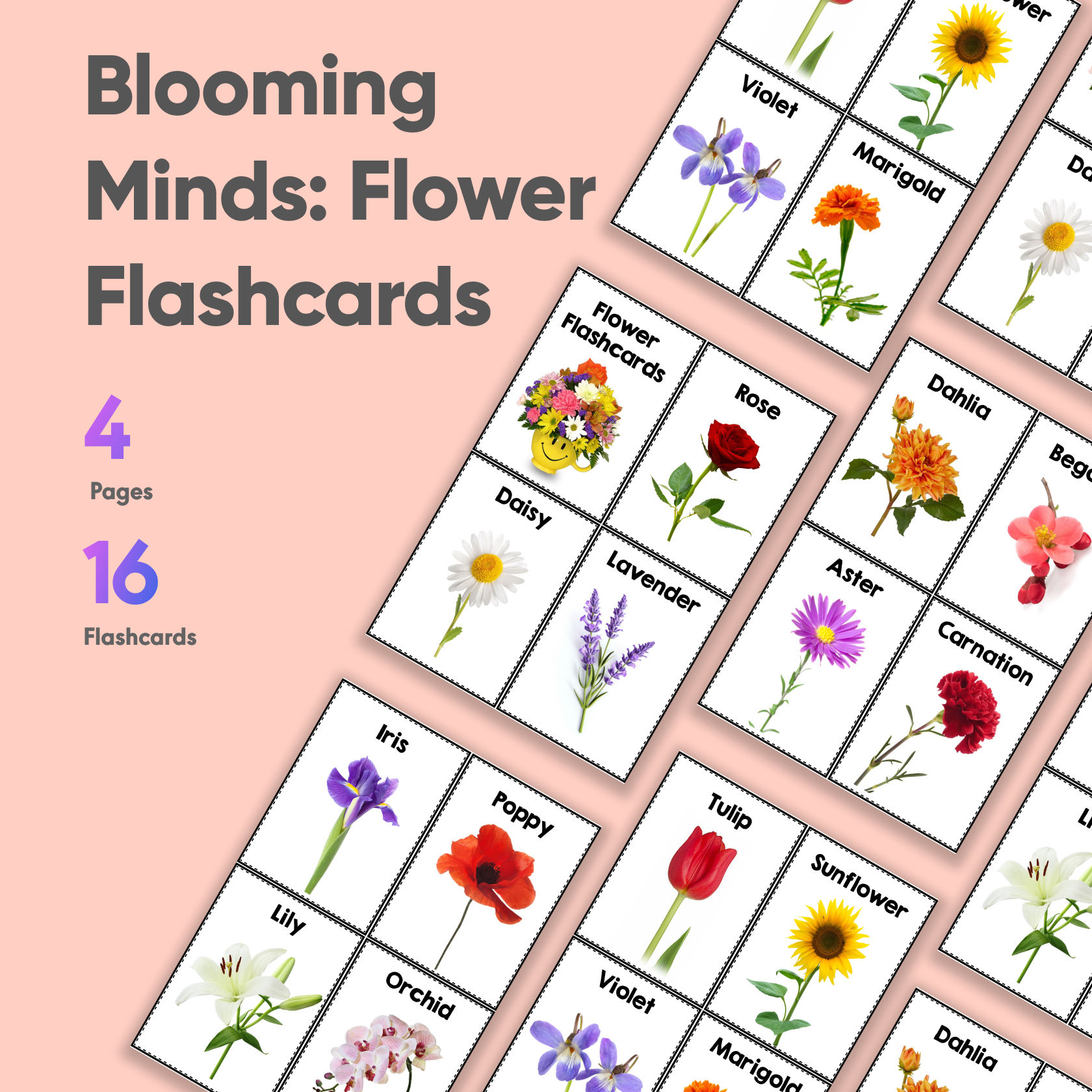 Blooming Minds: Flower Flashcards