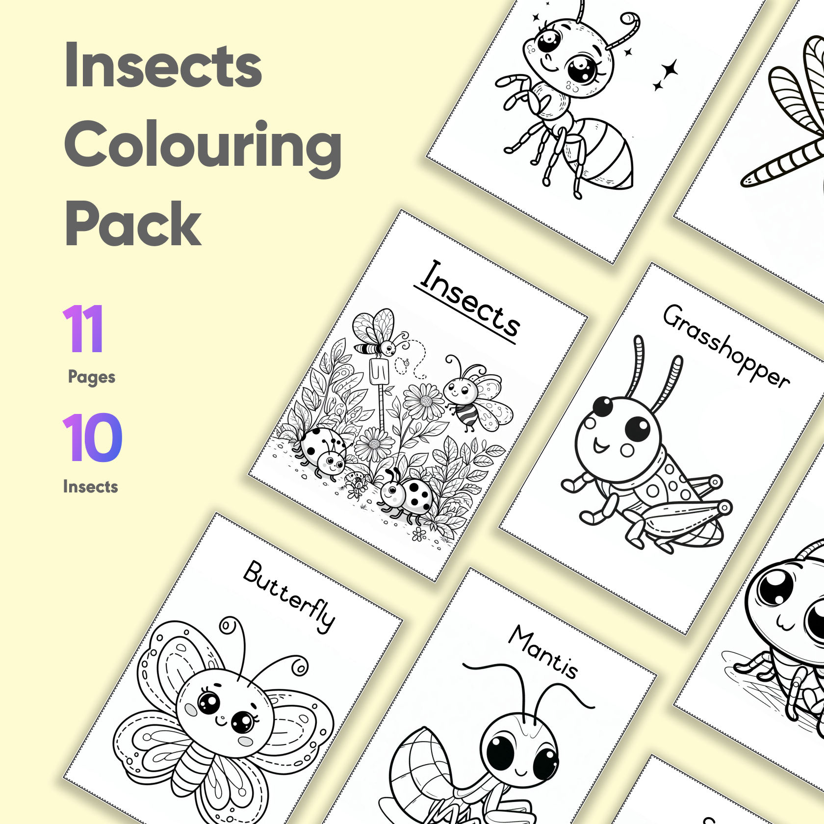 Insects Colouring Pack