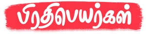 Pronowns