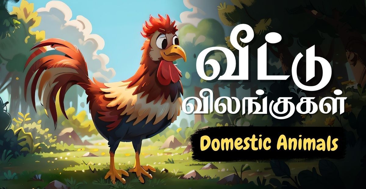 Lesson thumbnail for Tamil domestic animals with a rooster illustration for kids