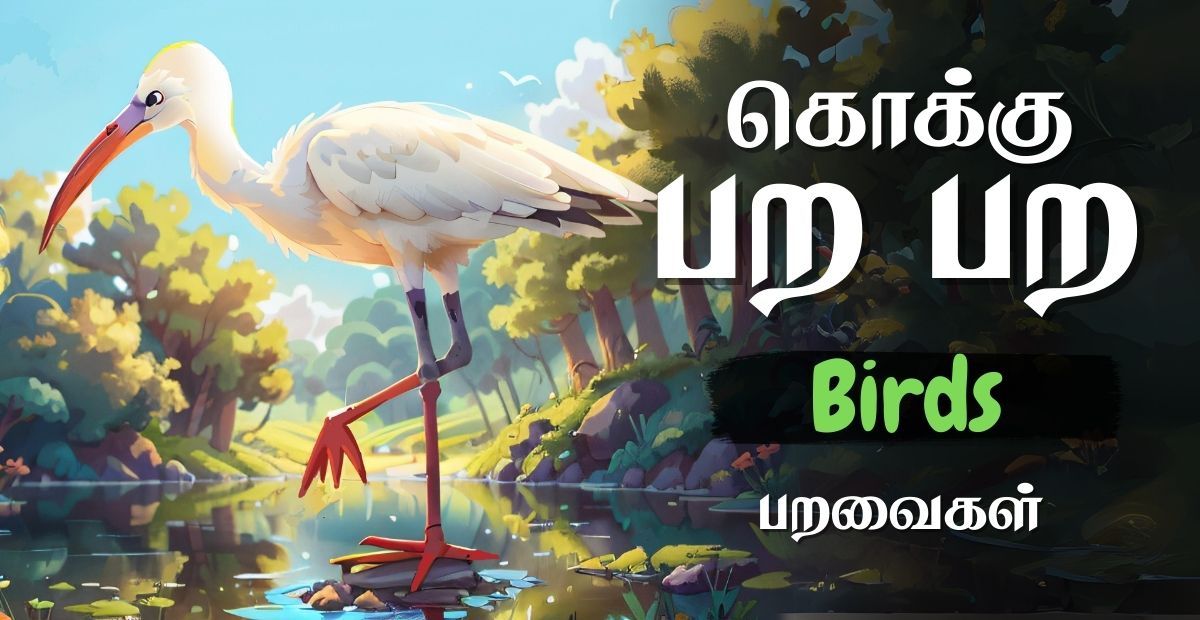 Lesson thumbnail for Tamil bird names with a crane illustration and the word பறவைகள் for kids
