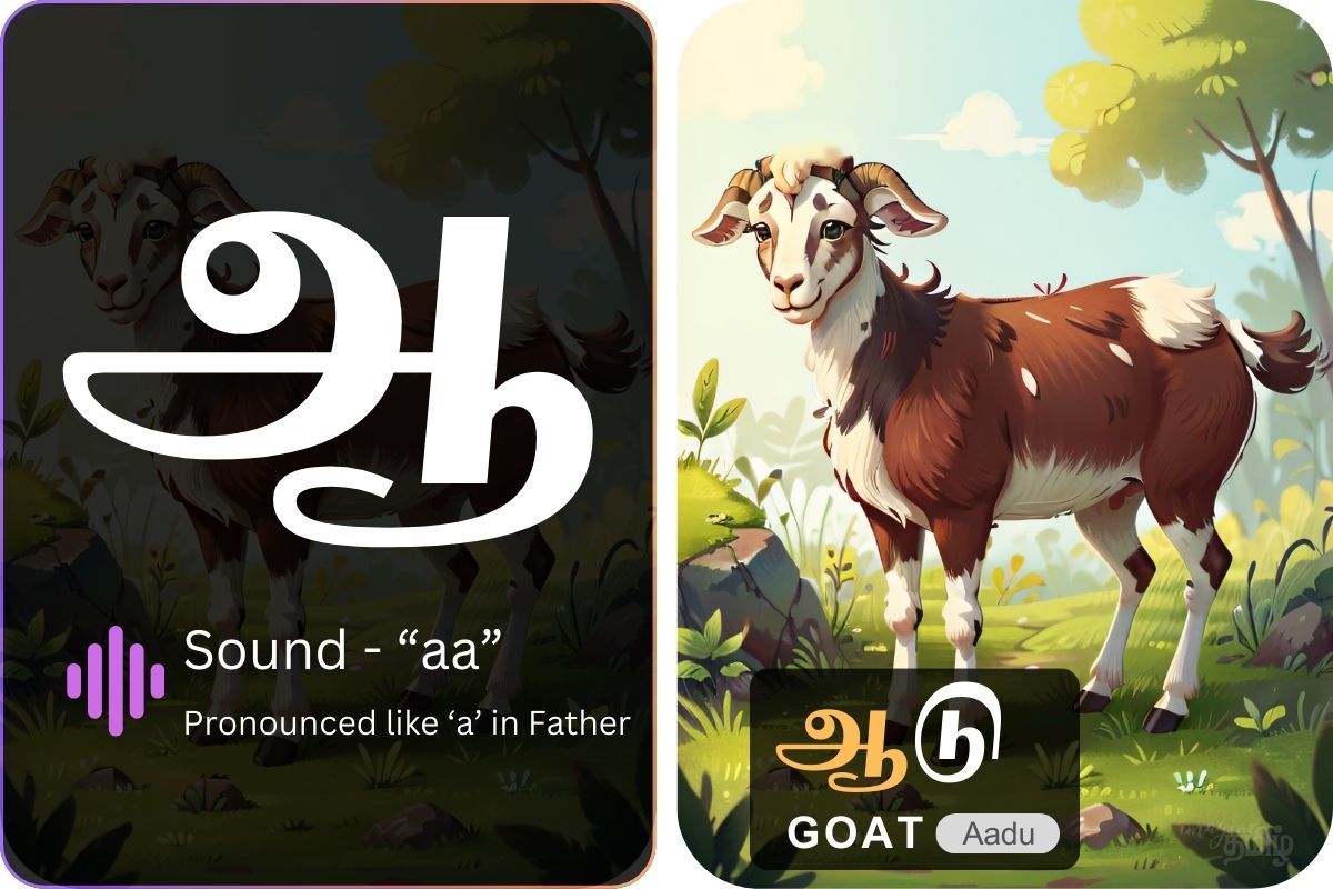 Tamil letter ஆ with pronunciation, shown with a goat and the word ஆடு (Aadu) meaning Goat.