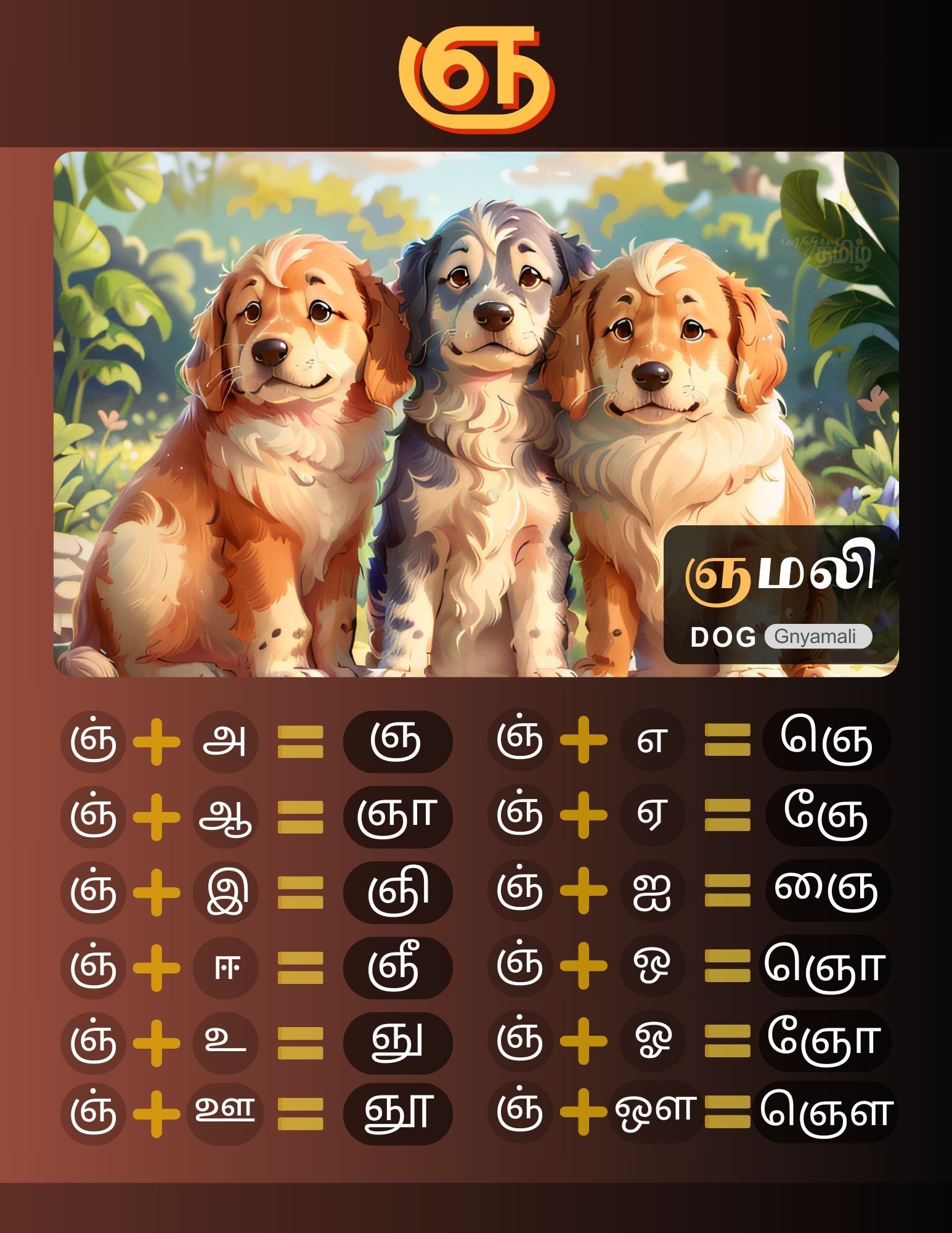 Lesson Image