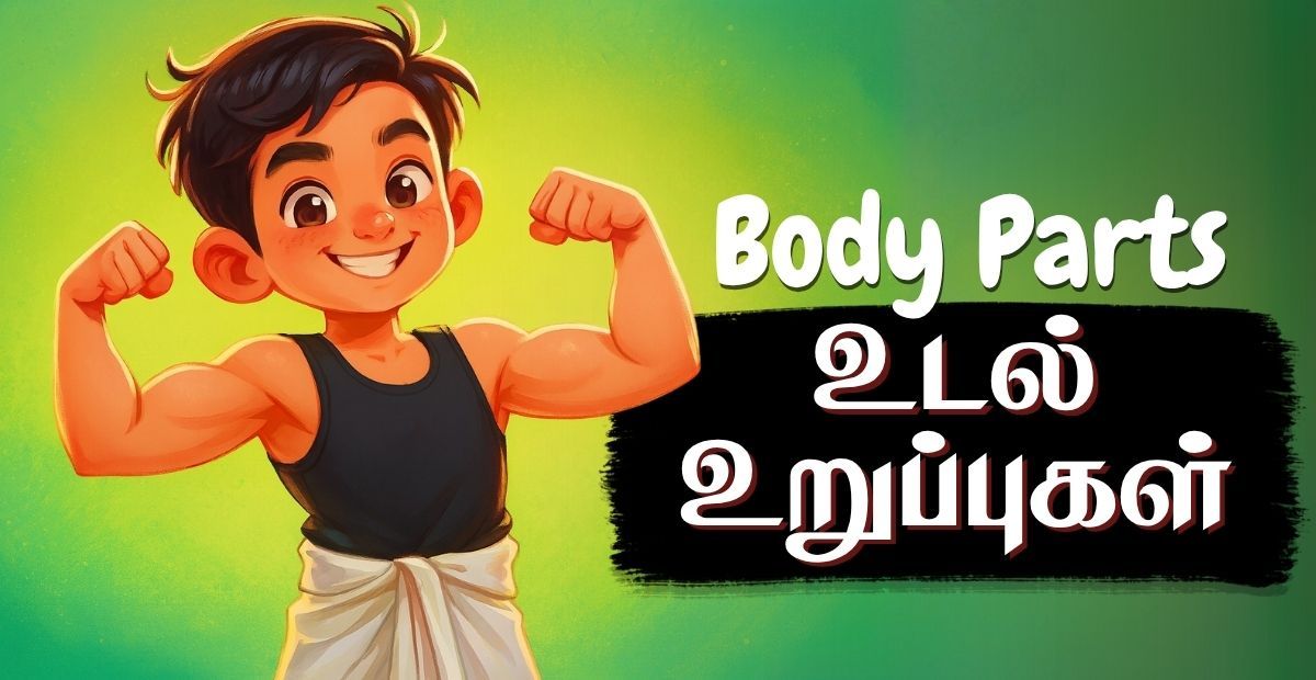 Lesson thumbnail for Tamil bird names with a crane illustration and the word பறவைகள் for kids