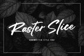 Raster Slice 2 1
