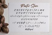 Rasterslice 4 1