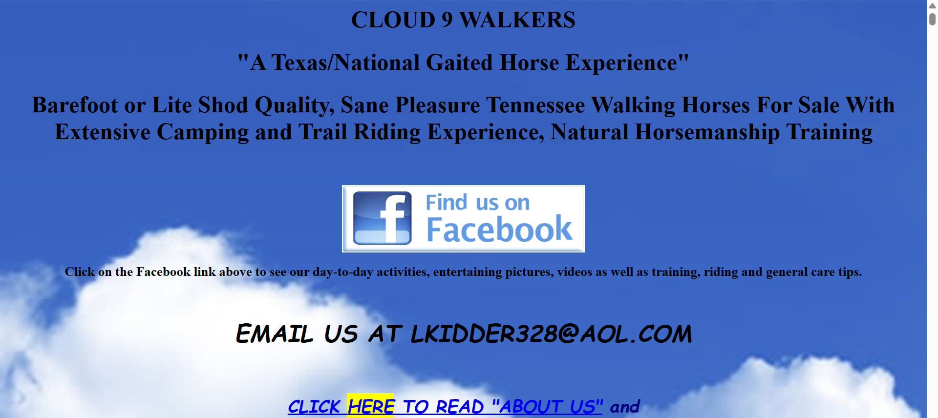 Cloud 9 Walkers’ web design