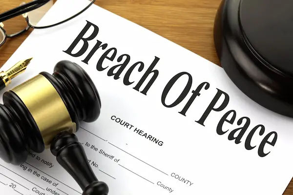 Mistakes In The Repossession Process - Lexinter