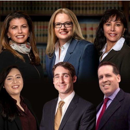 Law Directory For Lawyers 🏛 Lexinter Law 🚨