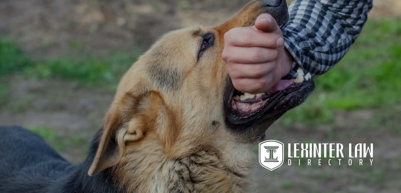 Calculating The Average Settlement For Dog Bite Cases Lexinter