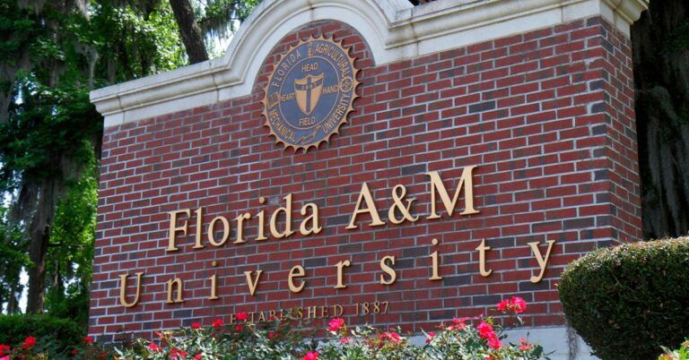 10 Best Law Schools In Florida - Florida AM University College Of Law 768x402 