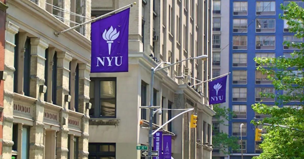 New York University