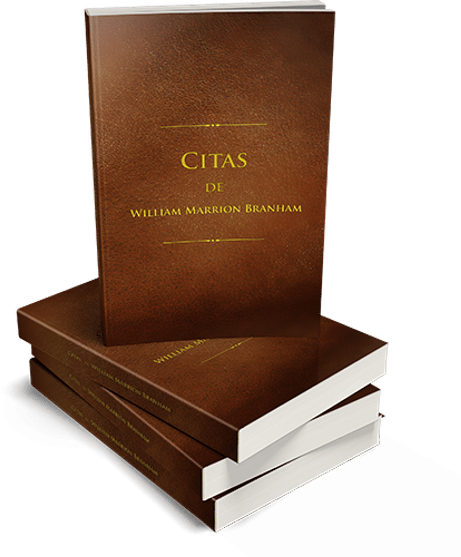 Libro de Citas 1