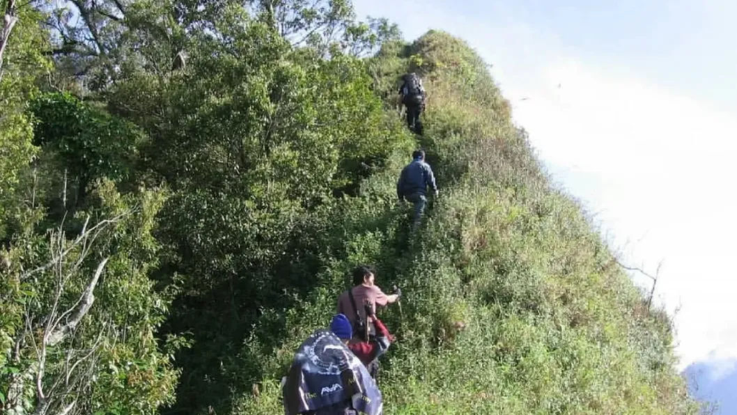 Pemandangan lereng Gunung Muria yang hijau dan asri di sekitar Desa Rahtawu Kudus