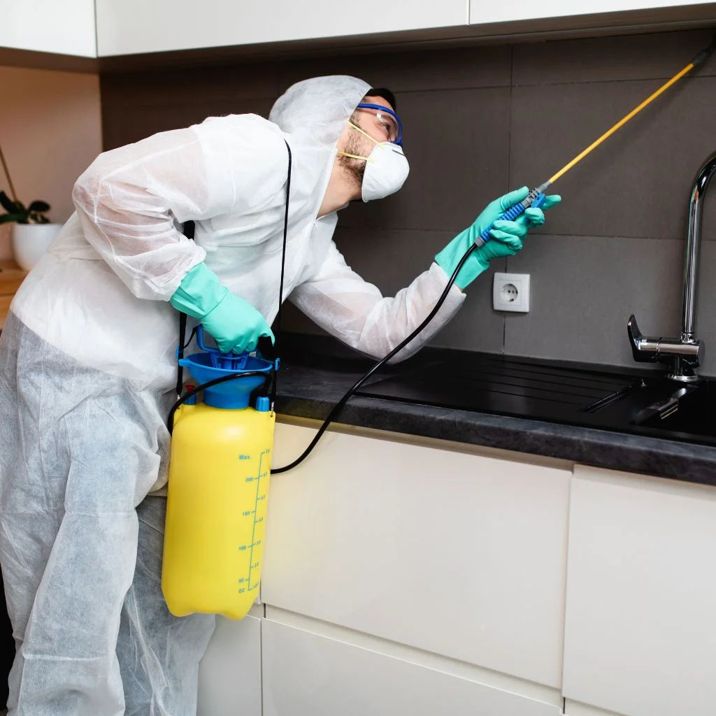 Commercial Pest Control