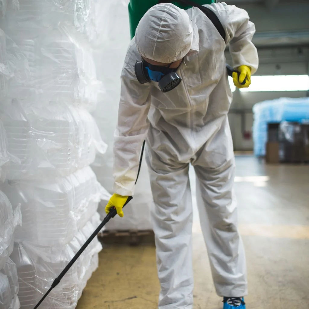 Benefits of Professional Ant Control