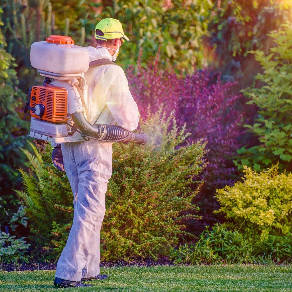 Pest control specialist using a smoke machine to fumigate outside a house.