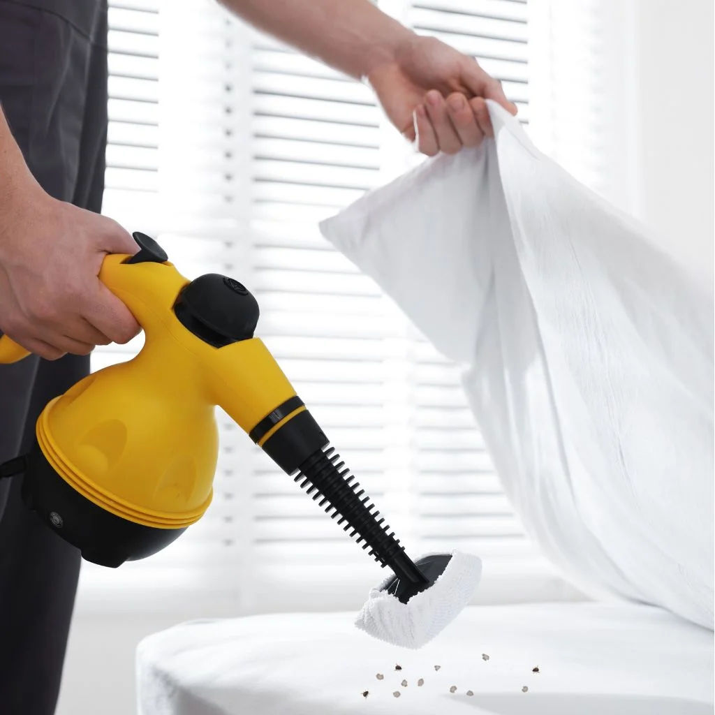 Benefits of Our Ant Control Services