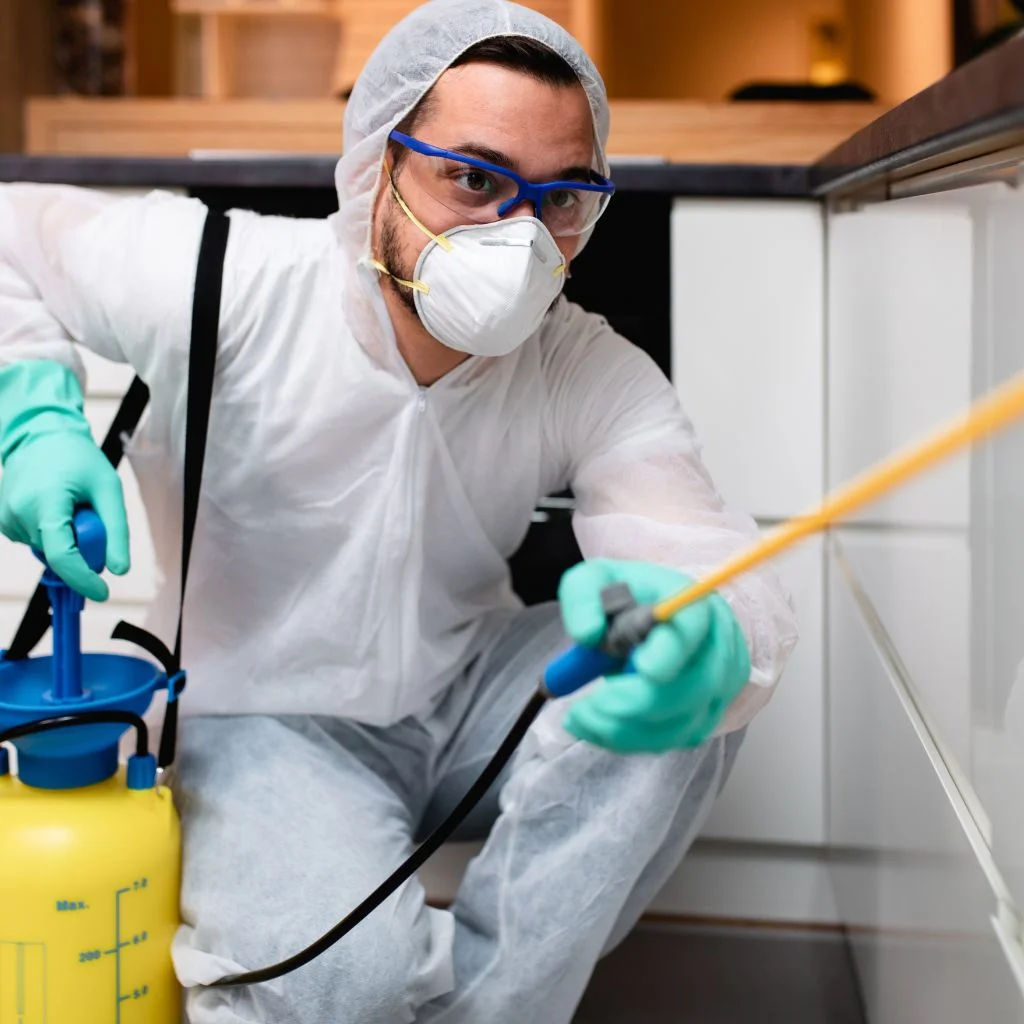 Commercial Pest Control