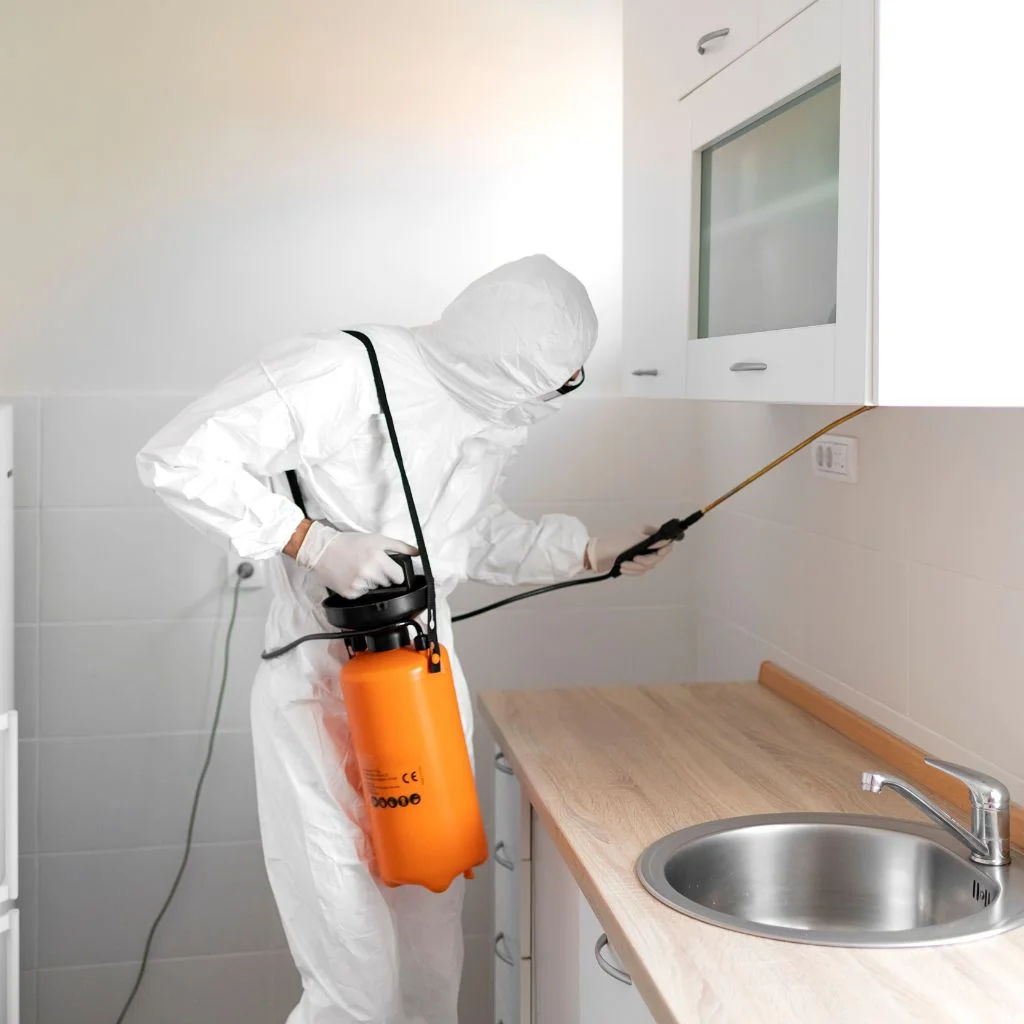 A worker in safety gear sprays disinfectant outside a building, ensuring cleanliness.