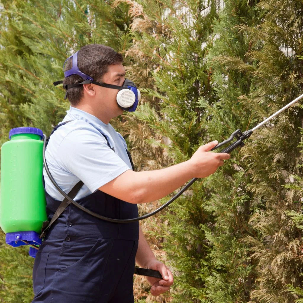 Commercial Pest Control