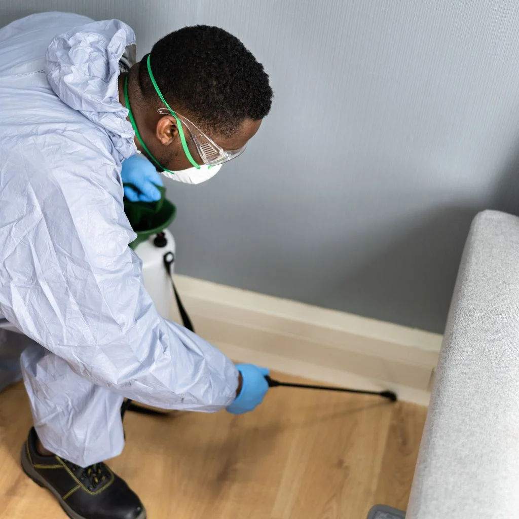 Our Expertise in Bed Bug Treatment