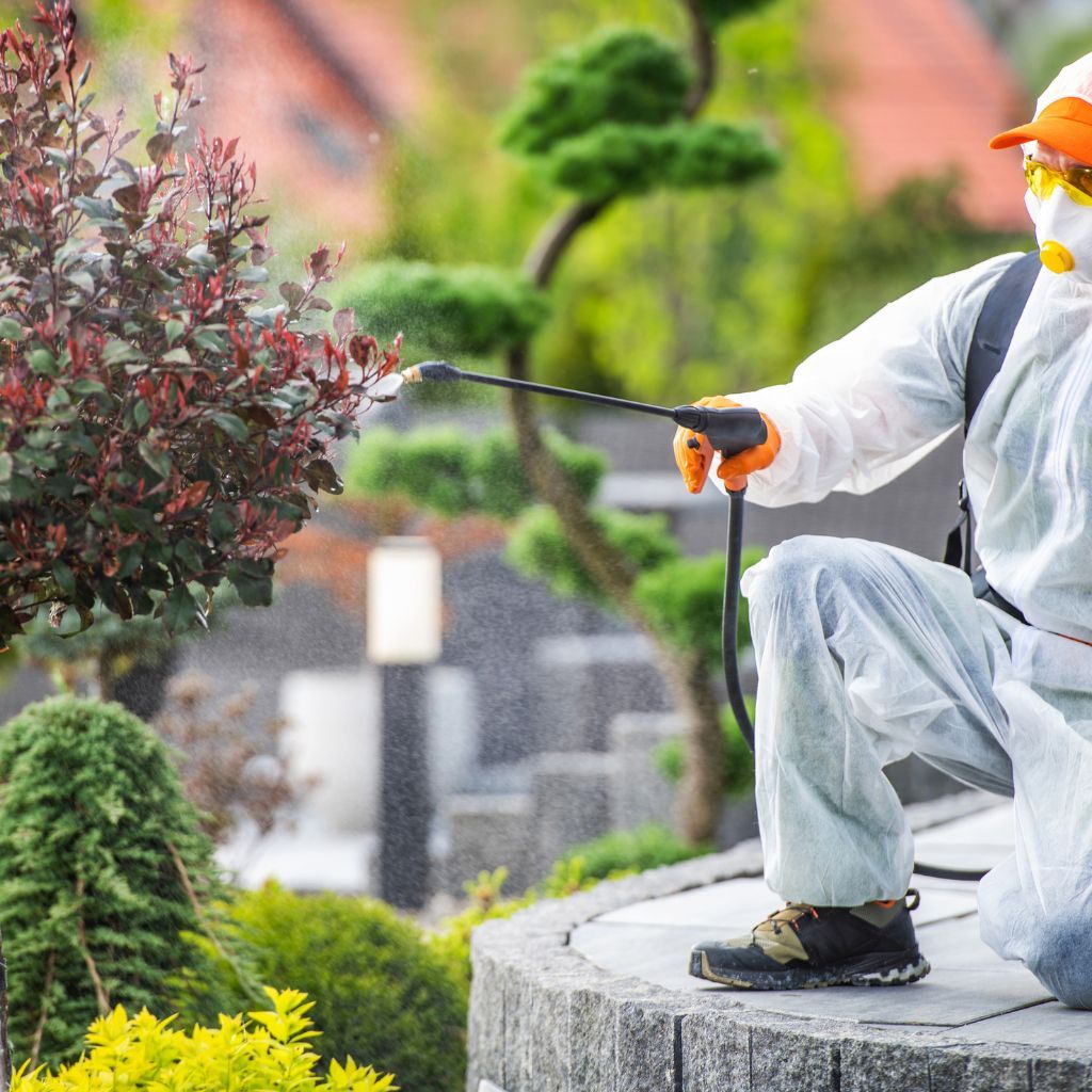 Commercial Pest Control
