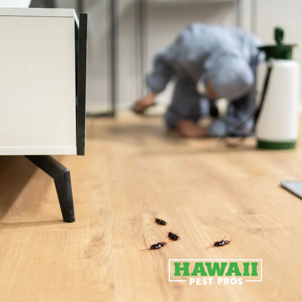 Residential Pest Control