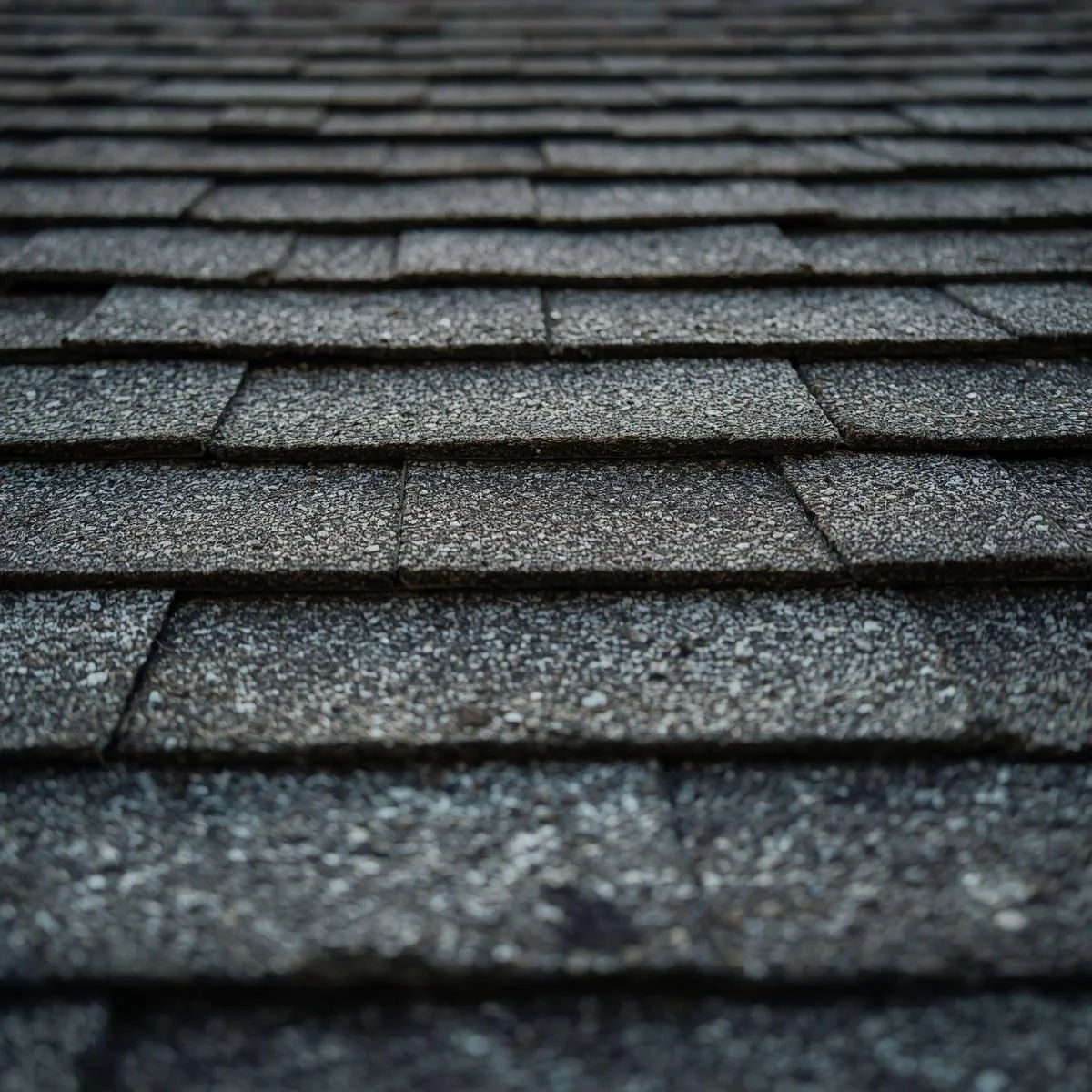 Shingle Roofing in santa rosa ca