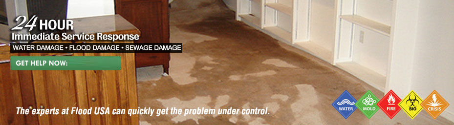 Benefits of Professional Mold Remediation