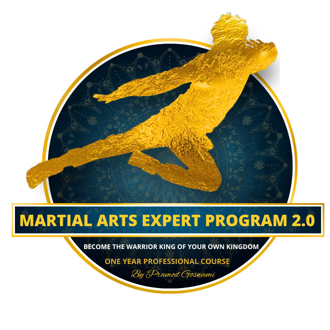Martial Arts Expert Program image