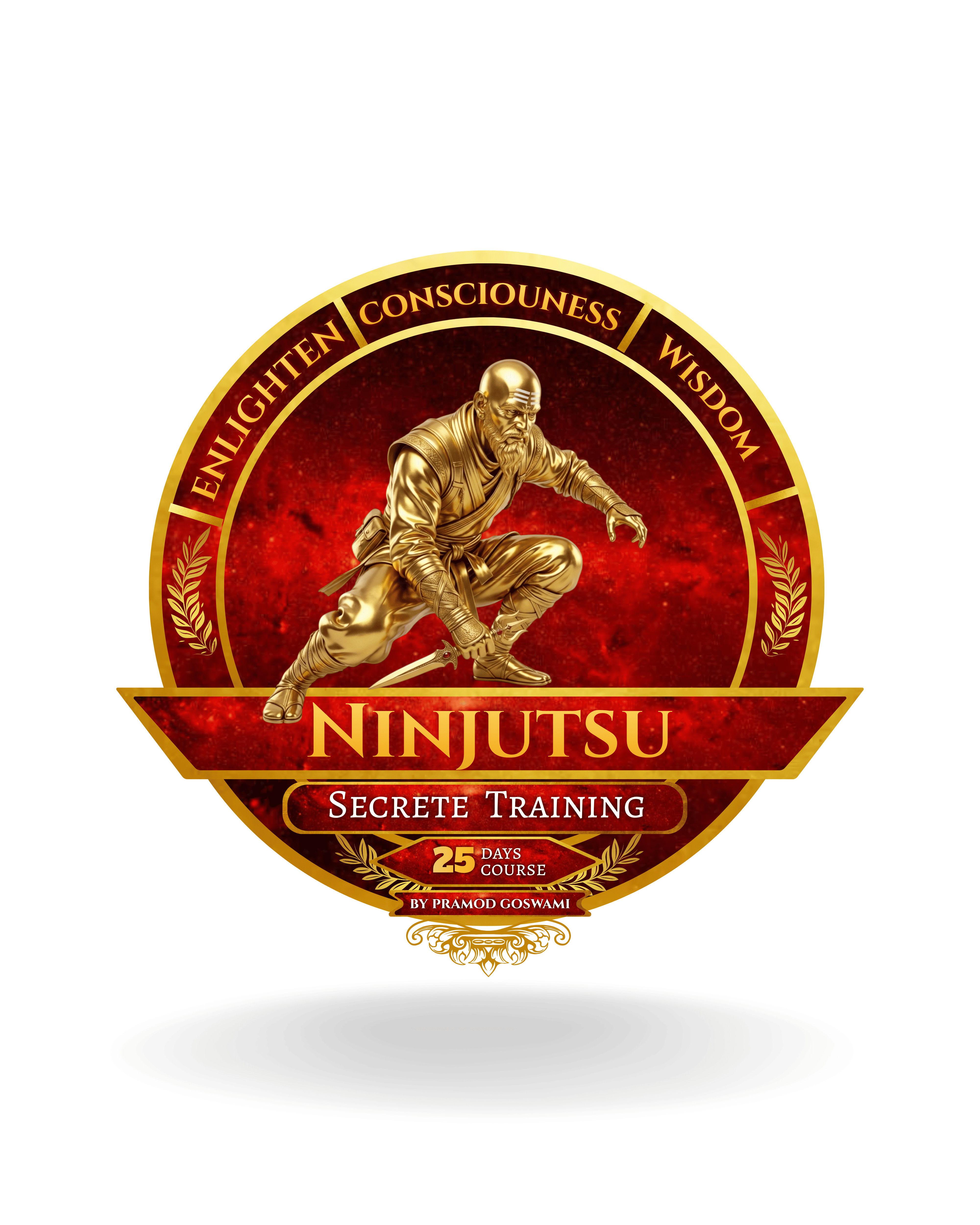 Ninjutsu Level 1
