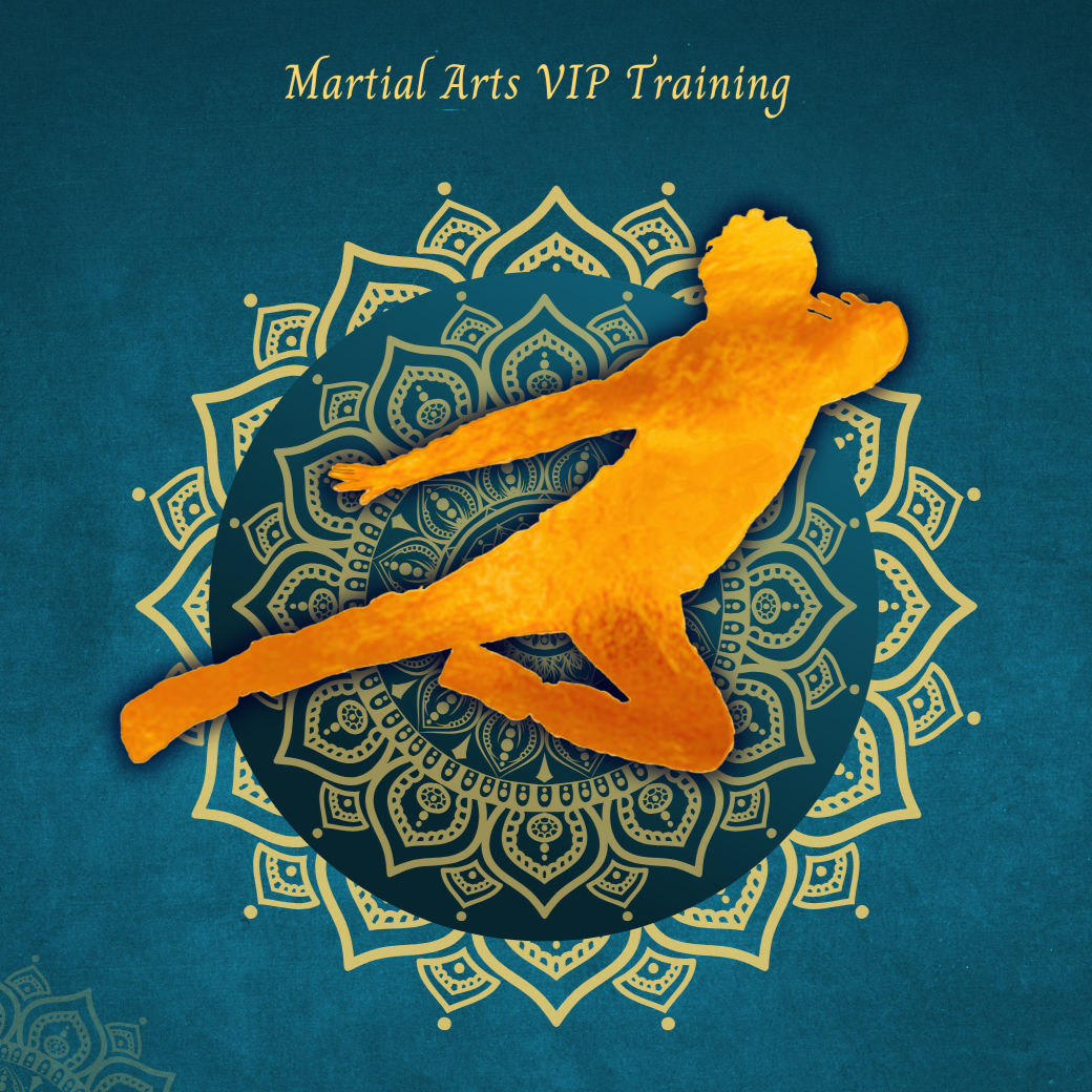 VIP Martial Arts Training logo