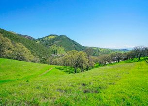 Enjoy Stunning views of Mt Diablo