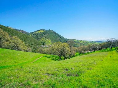 Enjoy Stunning views of Mt Diablo