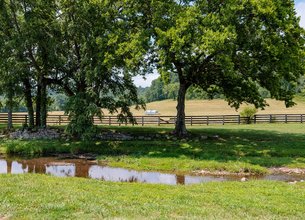 126 Acre Farm In Leipers Fork