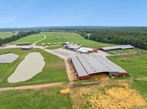 Black Angus Commercial Cattle Ranch On 564 Acres