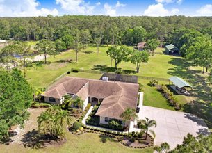 Equestrian Tranquility