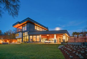 Live Among the Views