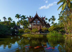 Jewel of Kohala Coast 