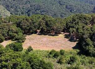 Dramatic South-Facing Views of Robinson Canyon & Landmark Oaks