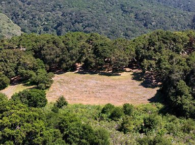 Dramatic South-Facing Views of Robinson Canyon & Landmark Oaks