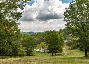 Scottsboro Hollow Farm