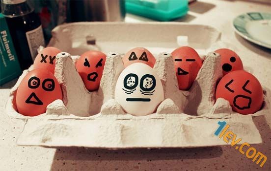 Забавни снимки с яйца - www.1lev.com