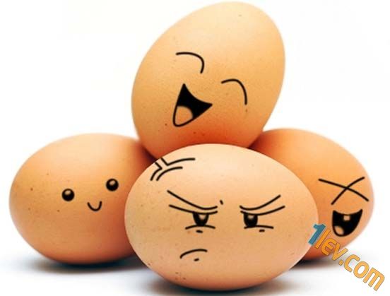 Забавни снимки с яйца -www.1lev.com
