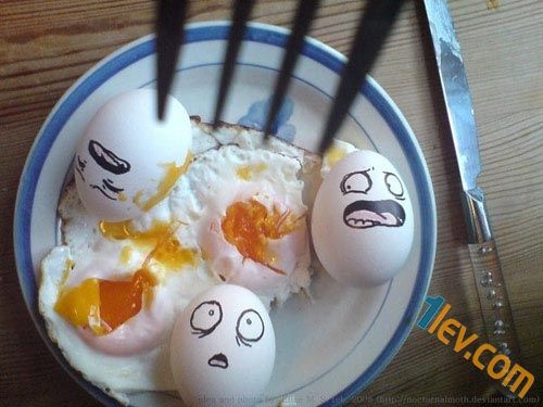 Забавни снимки с яйца -www.1lev.com