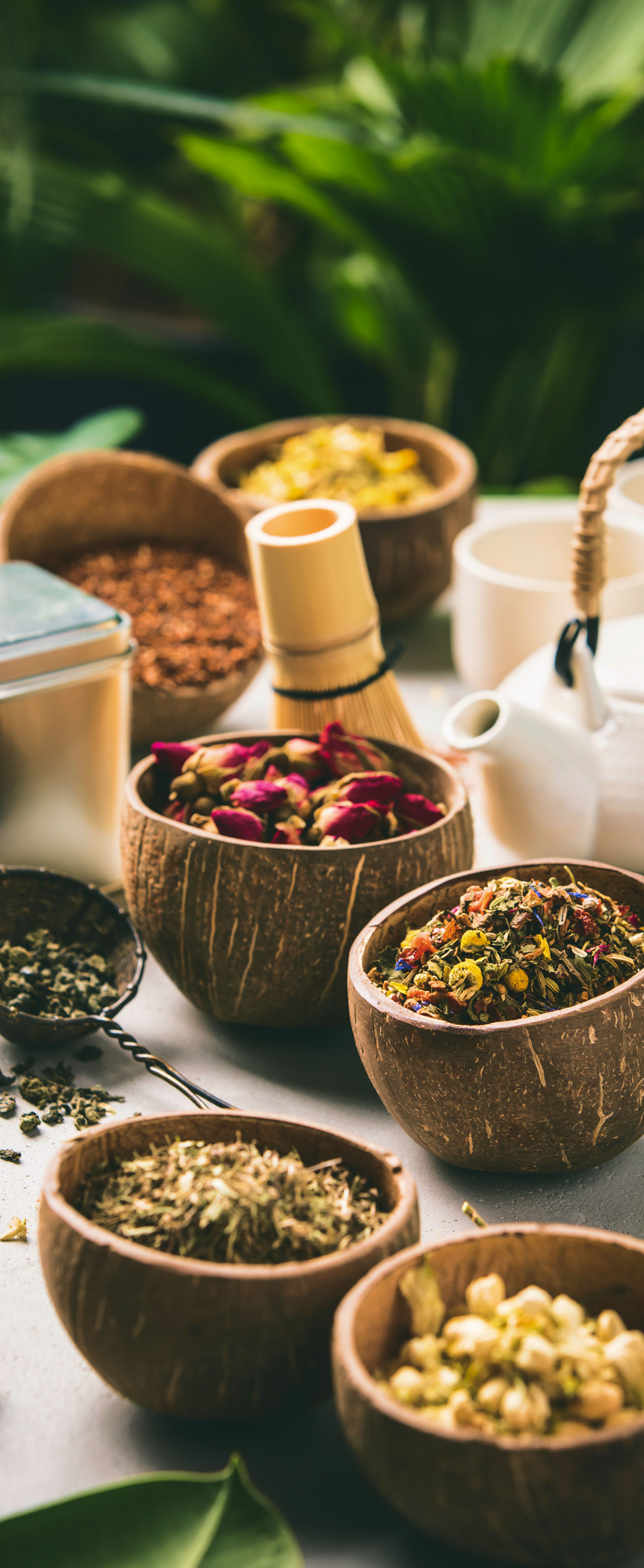 Diet & Nutrition
