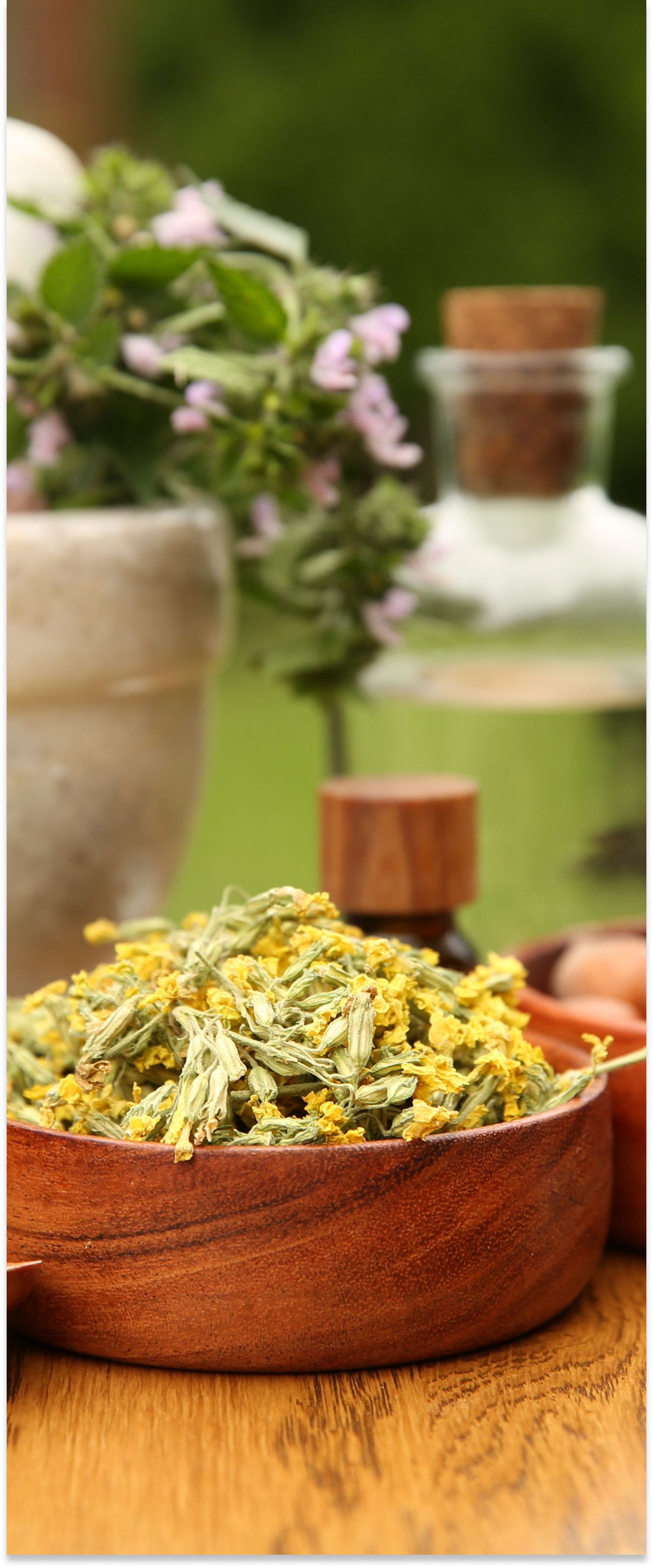 Herbal Medicine