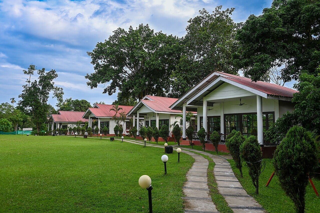 Diphlu River Lodge, Kaziranga